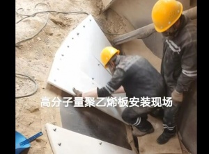 现场装置